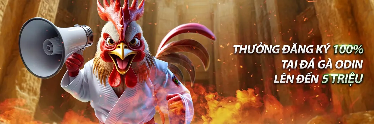 Chiến lược đá gà 789 Bet Đăng Nhập